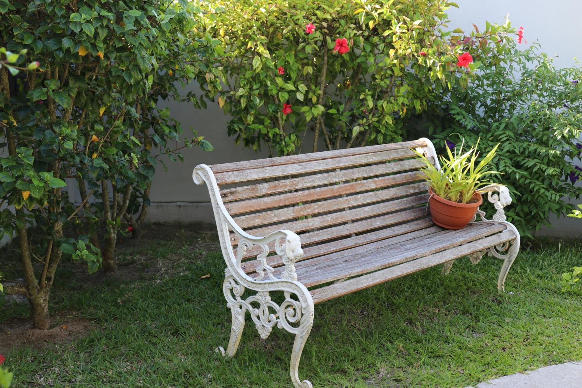 Hotel La Roussette Anse aux Pins Екстер'єр фото