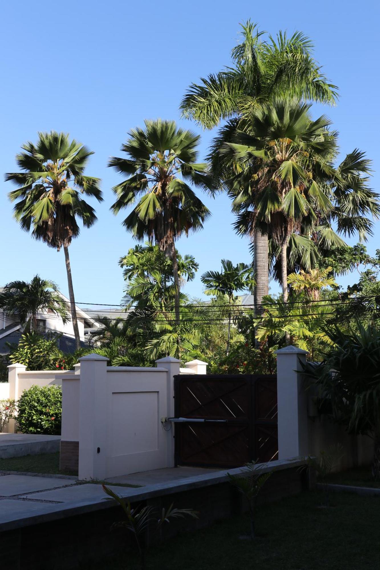 Hotel La Roussette Anse aux Pins Екстер'єр фото